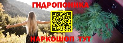 герыч Лесосибирск